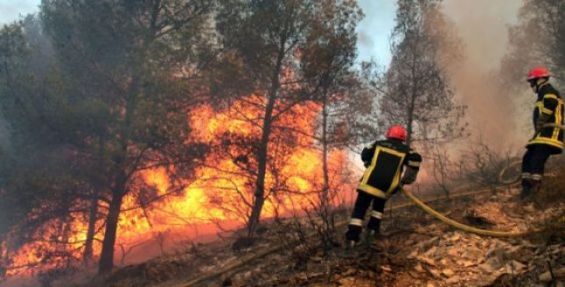 Feu de forêt Cabo Negro : Décès de 3 éléments de la Protection civile et interpellation de 4 individus