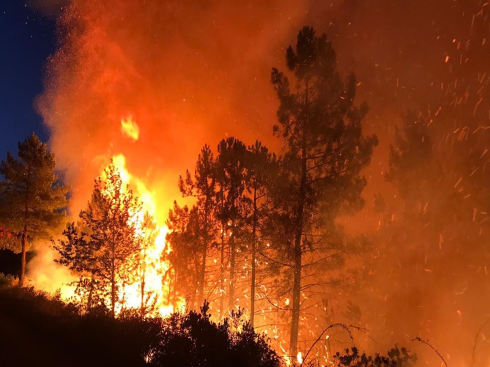 Incendie à « Kediyat-Al-Tayfour » : Le Parquet de Tétouan ouvre une enquête judiciaire 