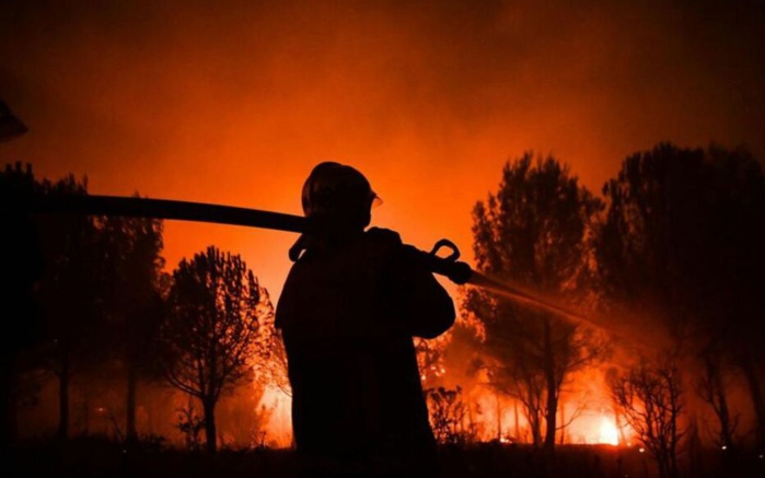 Feux à Cabo Negro : les équipes d'intervention poursuivent le combat contre les flammes