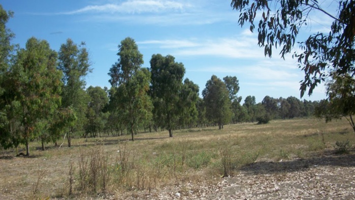 Benslimane / Aïn Tizgha : Une destination curative de premier rang Benslimane / Aïn Tizgha : Une destination curative de premier rang