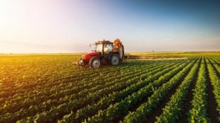 Interview avec Fatima Ezzahra Mengoub : « Il faut créer une dynamique entre les croissances agricole et économique » Interview avec Fatima Ezzahra Mengoub : « Il faut créer une dynamique entre les croissances agricole et économique »