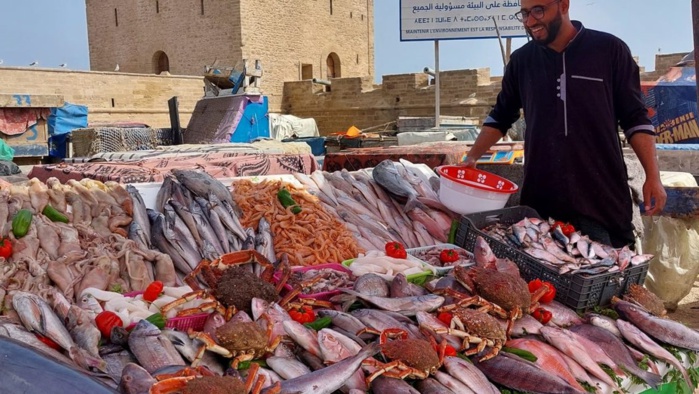 Port d'Essaouira / Pêche : Les débarquements en hausse de 53% à fin juillet Port d'Essaouira / Pêche : Les débarquements en hausse de 53% à fin juillet