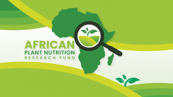 Une marocaine parmi les lauréats du prix académique africain pour la nutrition des plantes dévoilés Une marocaine parmi les lauréats du prix académique africain pour la nutrition des plantes dévoilés