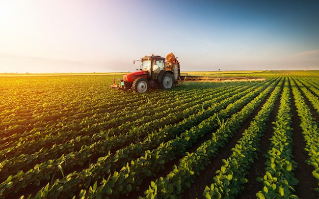 Dakhla : Coup d’envoi d’un mégaprojet de valorisation des terres agricoles Dakhla : Coup d’envoi d’un mégaprojet de valorisation des terres agricoles