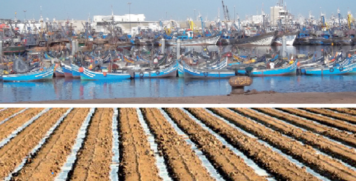 Pêche maritime, un vecteur de progrès pour le Maroc. Photo: droits réservés.