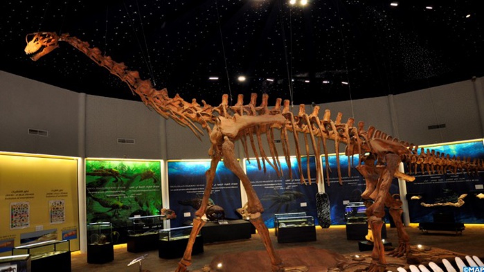 Azilal / Musée du géoparc M'Goun : Haut lieu de l’Histoire de l’humanité Azilal / Musée du géoparc M'Goun : Haut lieu de l’Histoire de l’humanité