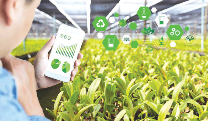 Fellah-Tech : La technologie au service de l’agriculture Fellah-Tech : La technologie au service de l’agriculture