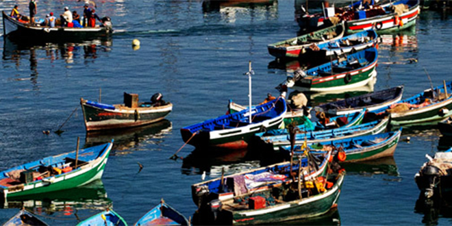 Port de Tan Tan : Pilier de développement socio-économique de la région