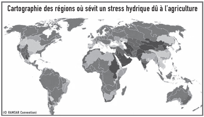 Sécheresse et incendies de forêt : Faut-il annuler la saison de chasse 2022-2023 ? Sécheresse et incendies de forêt : Faut-il annuler la saison de chasse 2022-2023 ?