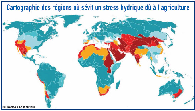 Cultures «hydrivores» : L’Etat ferme le robinet des subventions Cultures «hydrivores» : L’Etat ferme le robinet des subventions
