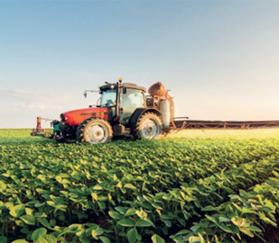 Cultures «hydrivores» : L’Etat ferme le robinet des subventions