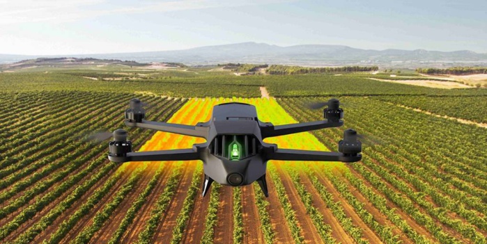 Photo: droits réservés. Photo: droits réservés.