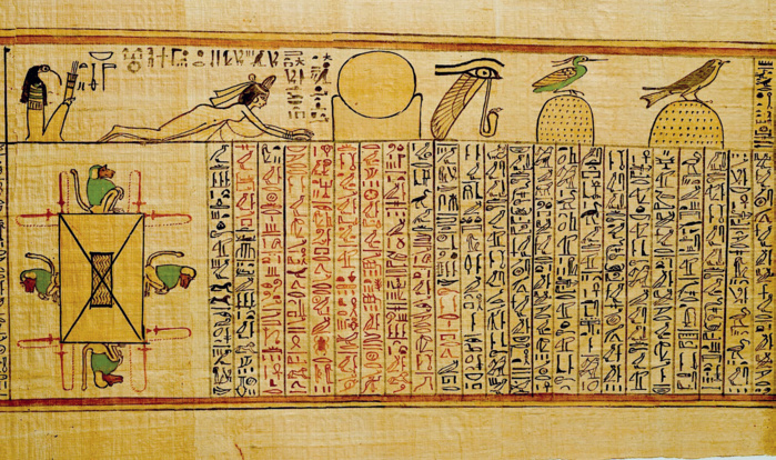 De quel sexe est le phénix ? De quel sexe est le phénix ?