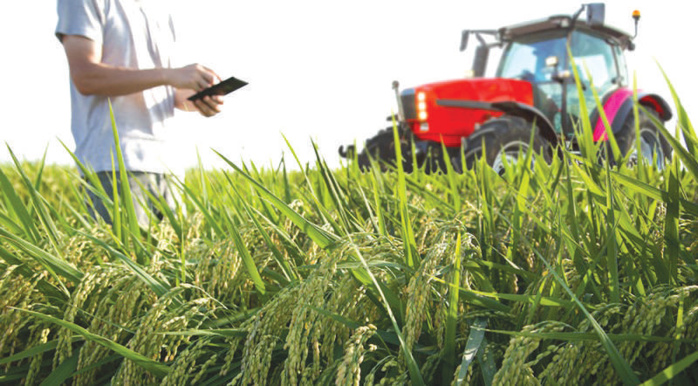 High-Tech Agriculture : Le Maroc participe à une conférence à Eilat