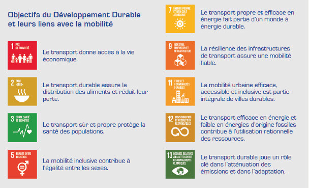 Décarbonation : Le secteur routier sur les chapeaux de roues Décarbonation : Le secteur routier sur les chapeaux de roues