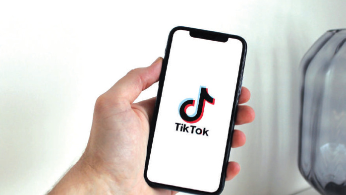 TikTok : #BookTok ou la littérature en fragments partagés TikTok : #BookTok ou la littérature en fragments partagés