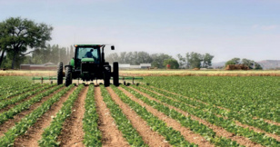 Interview avec Manuel Vicente Rodríguez Díez : Vers un développement maroco-espagnol de l’agriculture de précision Interview avec Manuel Vicente Rodríguez Díez : Vers un développement maroco-espagnol de l’agriculture de précision