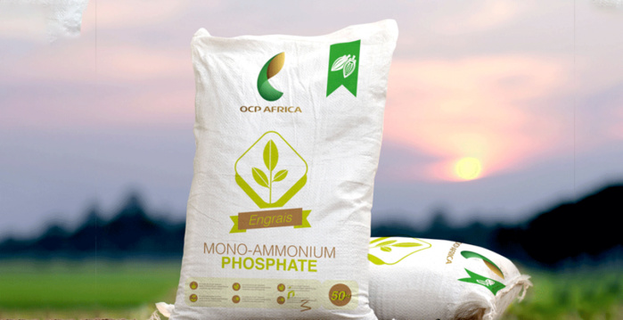 OCP fait don de 25.000 tonnes d’engrais au profit des agriculteurs sénégalais OCP fait don de 25.000 tonnes d’engrais au profit des agriculteurs sénégalais