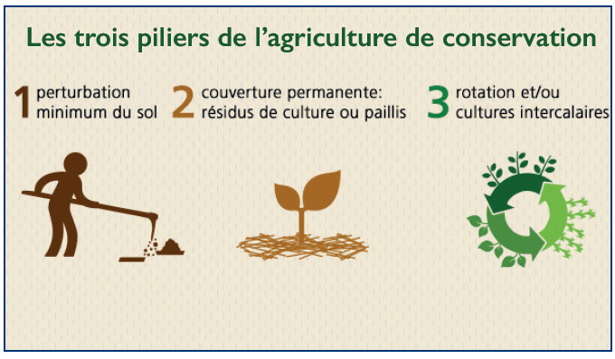 Semis-direct : Une solution optimale pour dépasser les ravages de la sécheresse