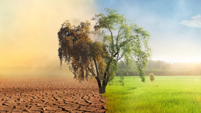 Maroc/Banque Mondiale : 78 Milliards de dollars à investir d’ici 2050 au changement climatique