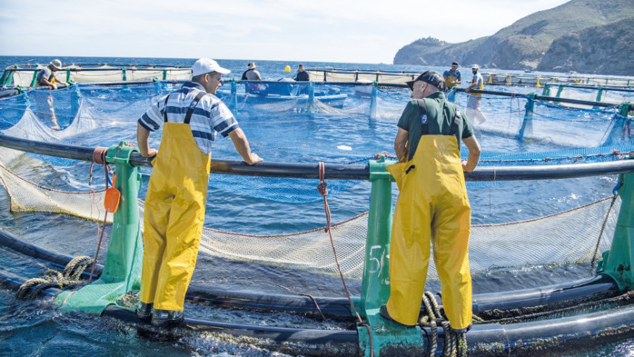Économie bleue : Les avancées du Maroc sous la loupe de la Banque Mondiale Économie bleue : Les avancées du Maroc sous la loupe de la Banque Mondiale