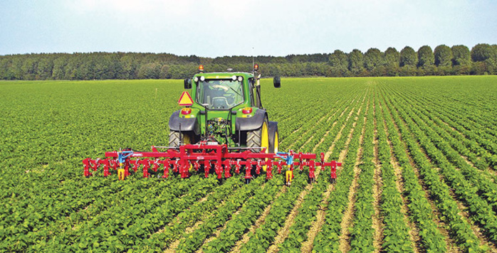 Le CESE recommande de réorienter les cultures face à la récurrence de la sécheresse Le CESE recommande de réorienter les cultures face à la récurrence de la sécheresse