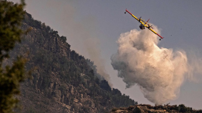 (Photo : Fadel Senna / AFP)