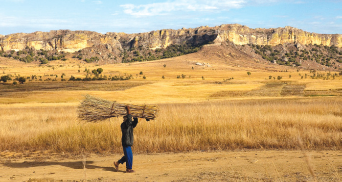 Conférence des parties de Sharm al-Sheikh : L’Afrique face aux promesses sans lendemain ? Conférence des parties de Sharm al-Sheikh : L’Afrique face aux promesses sans lendemain ?