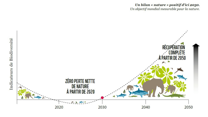 Biodiversité : Bientôt le retour des crocodiles marocains dans la Nature ? Biodiversité : Bientôt le retour des crocodiles marocains dans la Nature ?