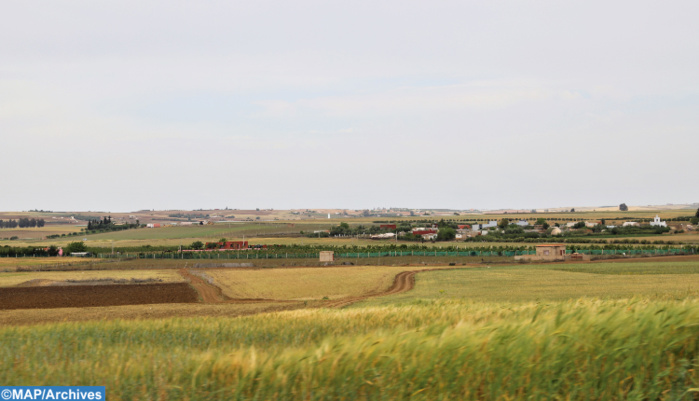 Casablanca-Settat / Agriculture : Des contraintes entachent le lancement de la campagne 2022-2023 Casablanca-Settat / Agriculture : Des contraintes entachent le lancement de la campagne 2022-2023
