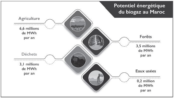 Energie verte : Et si le Maroc devenait leader dans le biogaz ?