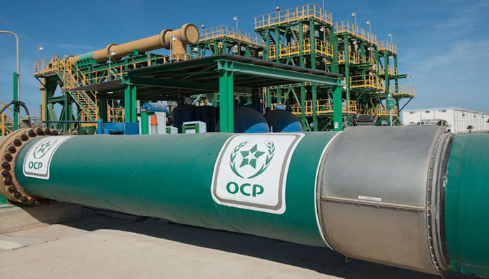 OCP lance son 1er projet de culture et de certification carbone au Brésil