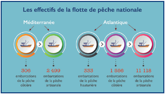 Prix des carburants : Les professionnels de la pêche côtière n’arrivent plus à tenir la barre