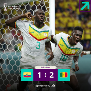 Mondial 2022 / Groupe A : Sénégal et Pays-Bas en huitièmes de finale
