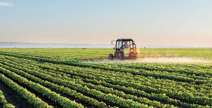 Le Maroc veut assurer 1,2 million d’hectares de terres cultivables