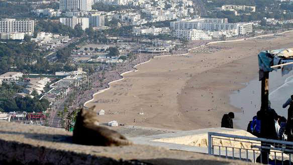 Ph : Nidal Ph : Nidal