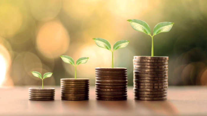 Emploi : Economie verte, un secteur incitatif pour les compétences Emploi : Economie verte, un secteur incitatif pour les compétences