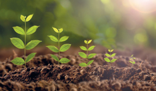 Emploi : Economie verte, un secteur incitatif pour les compétences Emploi : Economie verte, un secteur incitatif pour les compétences