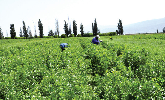 Tanger / CRRA : Le développement engagé de l’innovation agricole