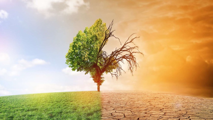 Le coût du changement climatique au Maroc dépasse les 570 millions de dollars par an