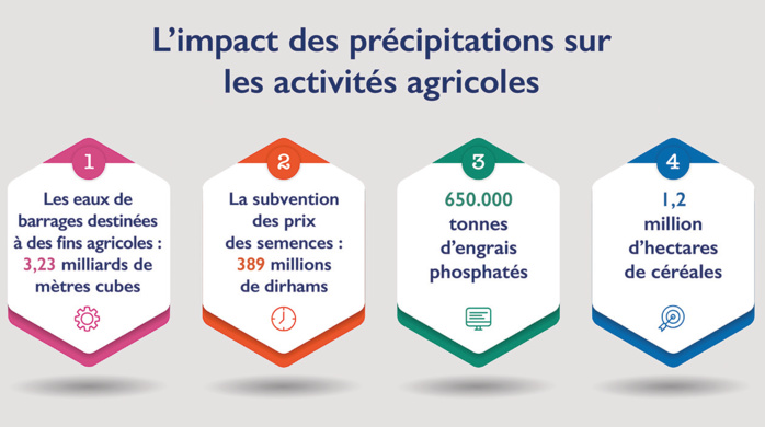 Agriculture : La vague de chaleur menace-t-elle la saison ? Agriculture : La vague de chaleur menace-t-elle la saison ?