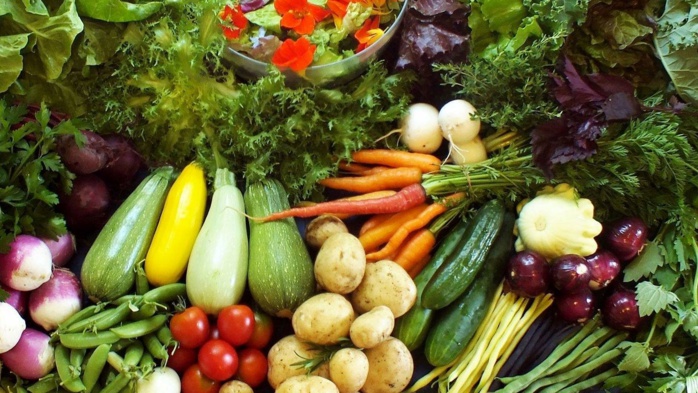 Béni Mellal-Khénifra / Cultures maraîchères : La superficie semée s'élève à 2.556 Ha Béni Mellal-Khénifra / Cultures maraîchères : La superficie semée s'élève à 2.556 Ha