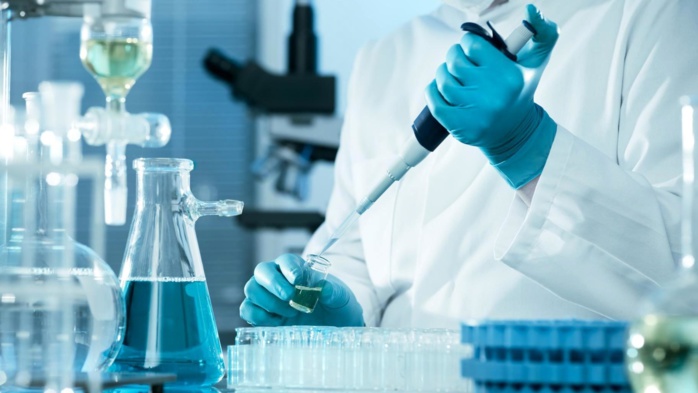 Cancer du sein : Le premier test de diagnostic 100% marocain prochainement sur le marché Cancer du sein : Le premier test de diagnostic 100% marocain prochainement sur le marché