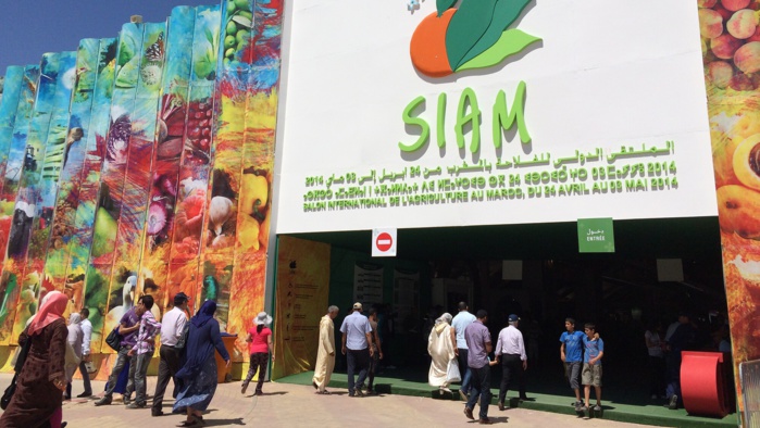 15ème édition du Salon International de l’Agriculture au Maroc : Catalyseur d’opportunités, le SIAM allie technologies et recherches