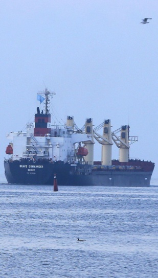 Importation de céréales : Un navire céréalier ukrainien attendu au Maroc Importation de céréales : Un navire céréalier ukrainien attendu au Maroc