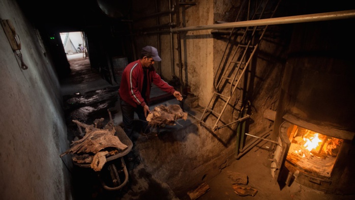 Bois de feu : Entre besoin vital et risque environnemental Bois de feu : Entre besoin vital et risque environnemental