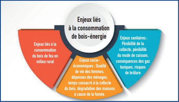 Bois de feu : Entre besoin vital et risque environnemental Bois de feu : Entre besoin vital et risque environnemental