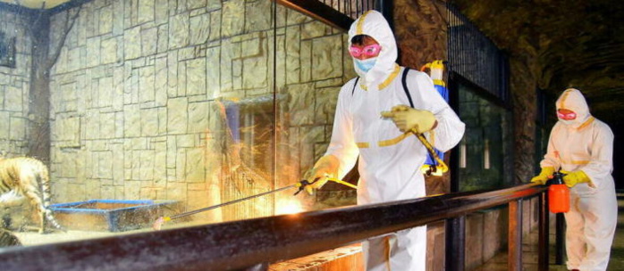 Corée du Nord : Une "maladie respiratoire" oblige Pyongyang au confinement Corée du Nord : Une "maladie respiratoire" oblige Pyongyang au confinement