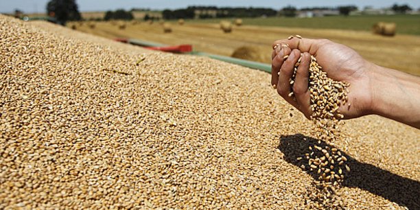 Baitas : « Le changement climatique refaçonne notre agriculture »