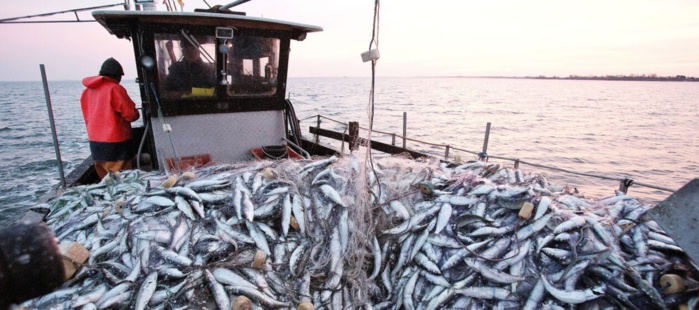Secteur de la pêche : Sadiki justifie le non-plafonnement des prix du carburant Secteur de la pêche : Sadiki justifie le non-plafonnement des prix du carburant